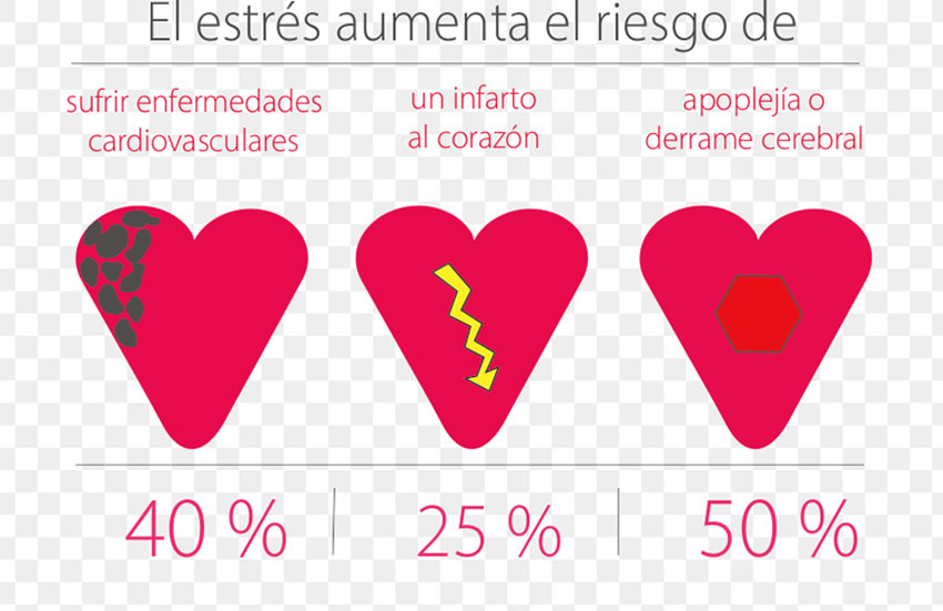 El Estrés y las Enfermedades